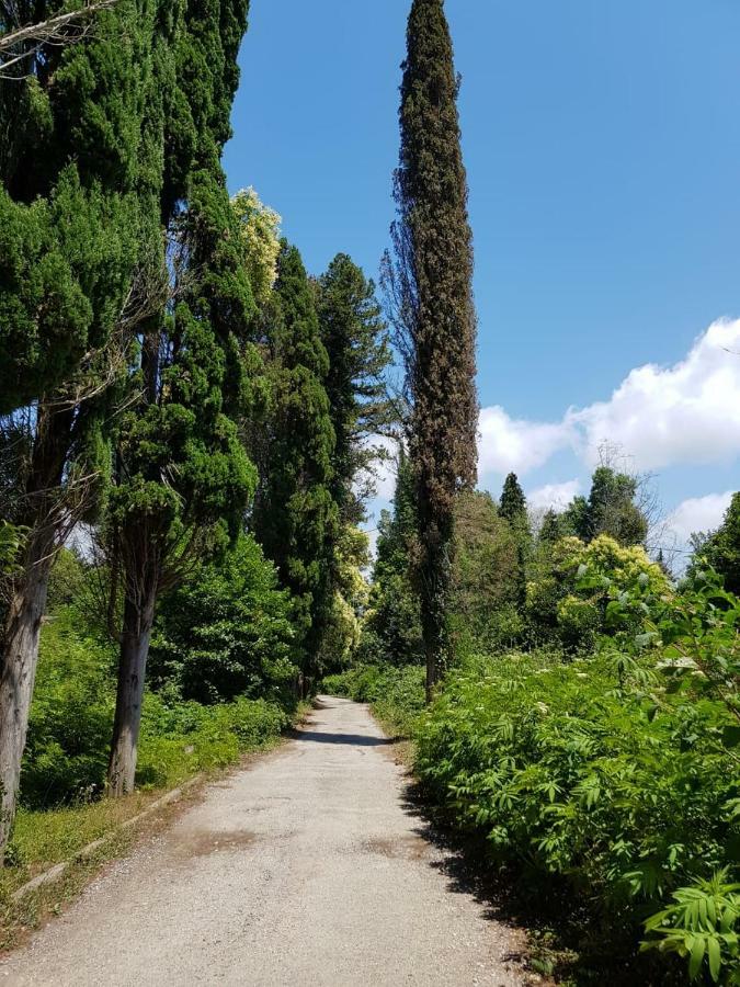 גודאותה Solnechny Bereg Guest House מראה חיצוני תמונה