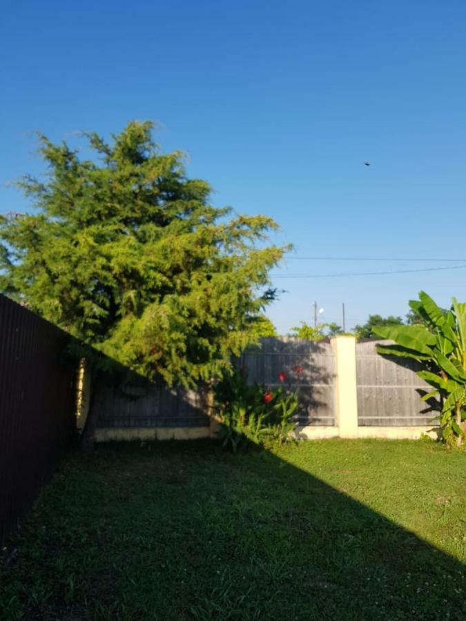 גודאותה Solnechny Bereg Guest House מראה חיצוני תמונה